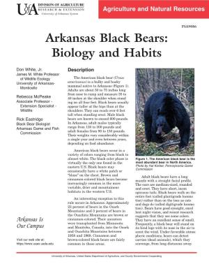 Arkansas Black Bears: Biology and Habits