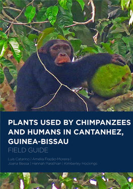 Others Plants Used by Chimpanzees and Humans in Cantanhez