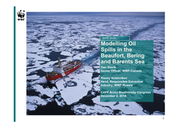Modelling Oil Spills in the Beaufort, Bering and Barents