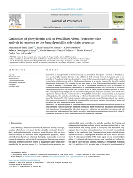 Catabolism of Phenylacetic Acid in Penicillium Rubens. Proteome-Wide