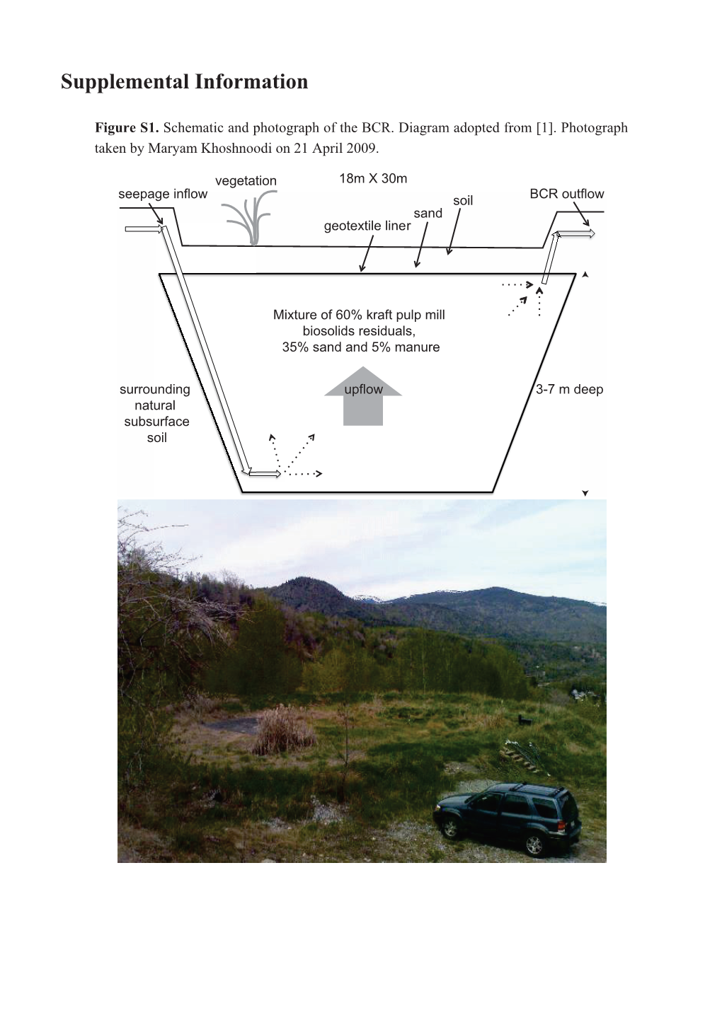 Mineralogical Study of a Biologically-Based Treatment