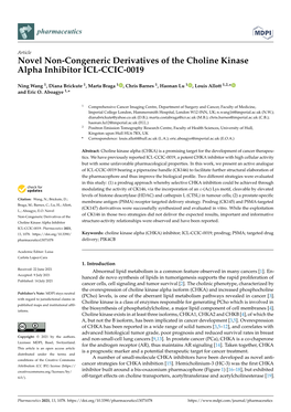 Novel Non-Congeneric Derivatives of the Choline Kinase Alpha Inhibitor ICL-CCIC-0019