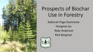 Prospects of Biochar Use in Forestry