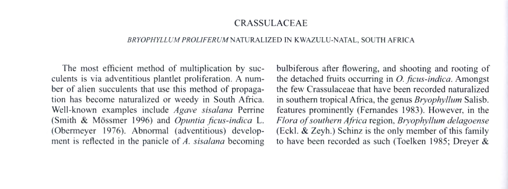 CRASSULACEAE the Most Efficient Method of Multiplication by Suc