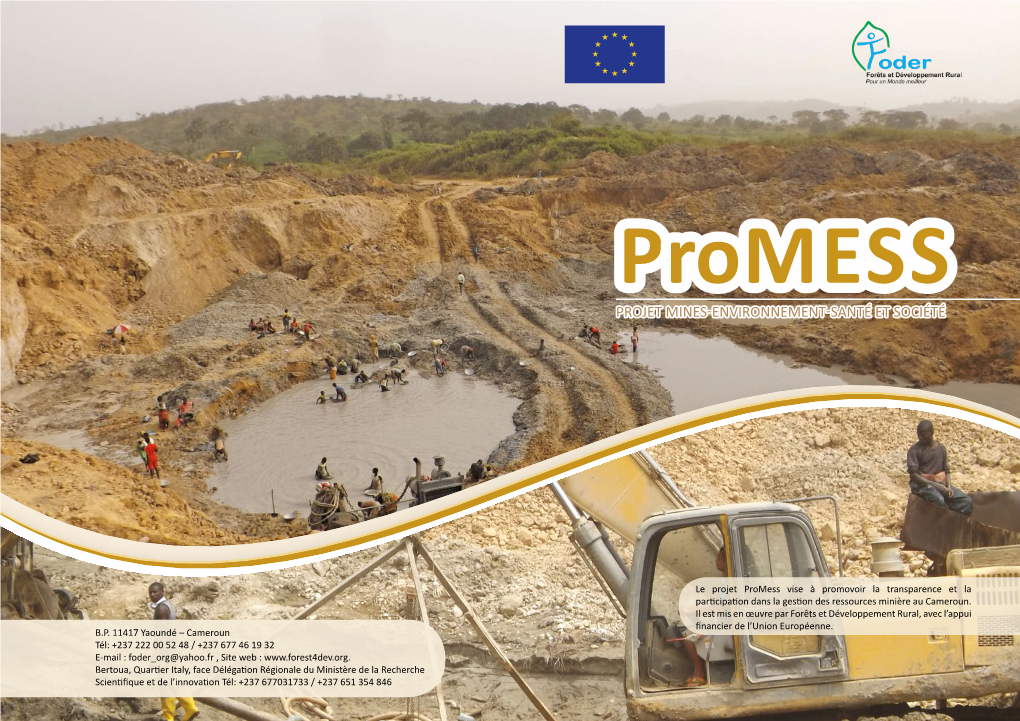 Projet Mines-Environnement-Santé Et Société