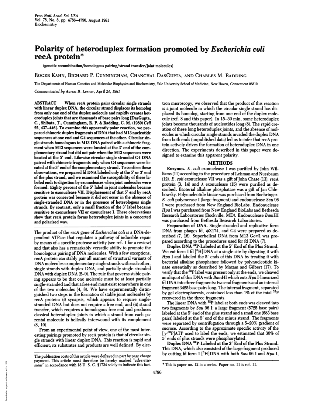 Polarity of Heteroduplex Formation Promoted by Escherichia