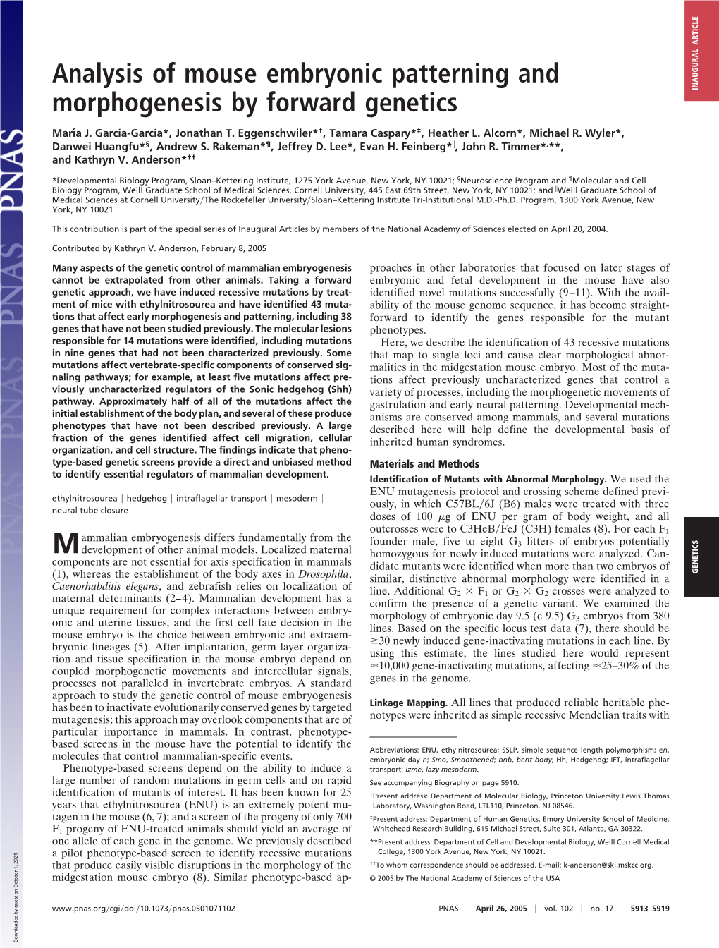 Analysis of Mouse Embryonic Patterning and Morphogenesis By