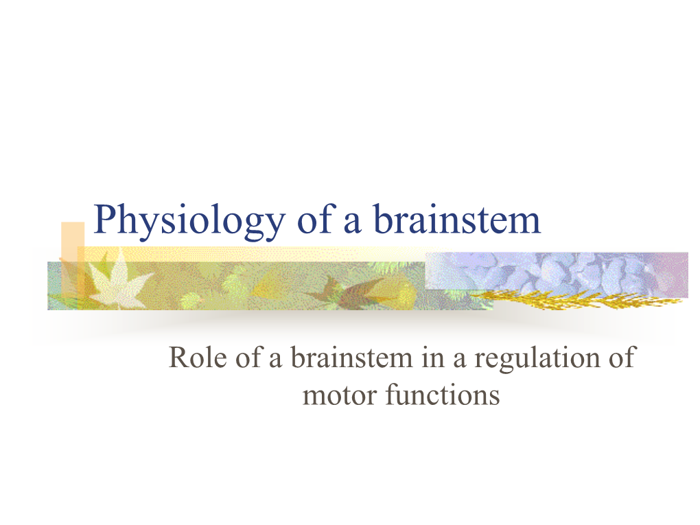 Brainstem: Mesencephalon, Pons Cerebri, Myelencephalon (Medulla Oblongata), Reticular Formation