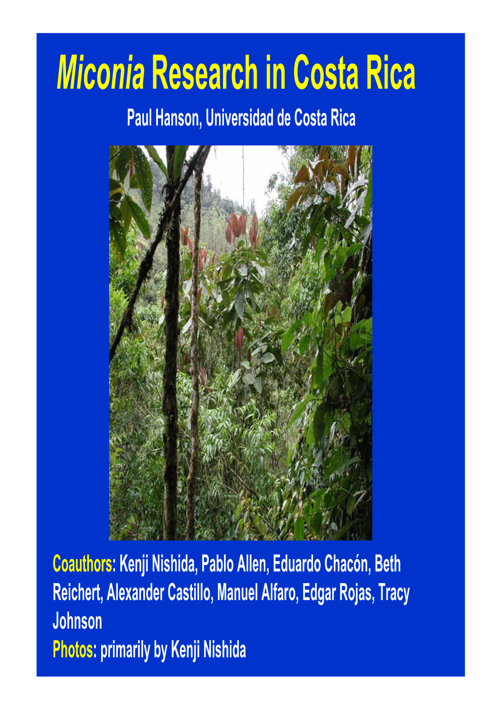 Miconia Research in Costa Rica Paul Hanson, Universidad De Costa Rica
