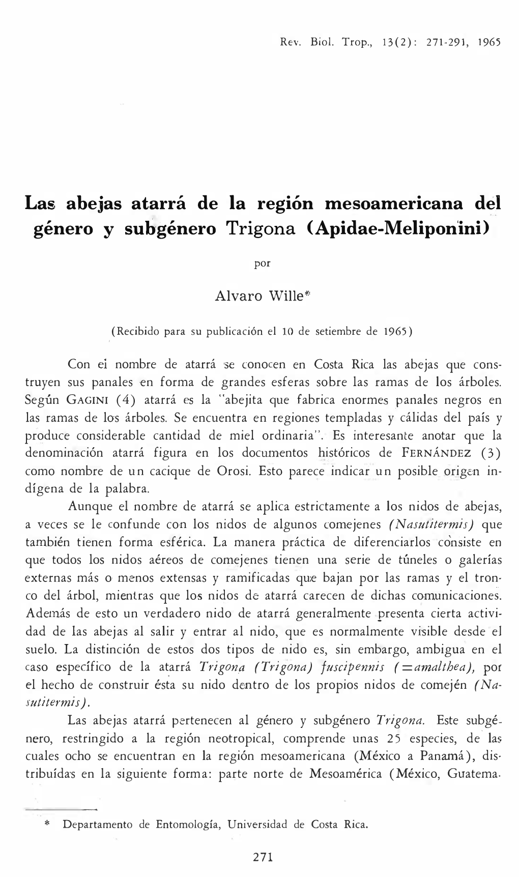 Las Abejas Atarrá De La Región Mesoamericana Del Género Y