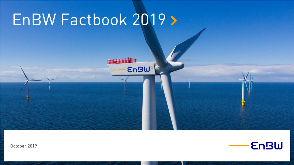 Investor Factbook 2019