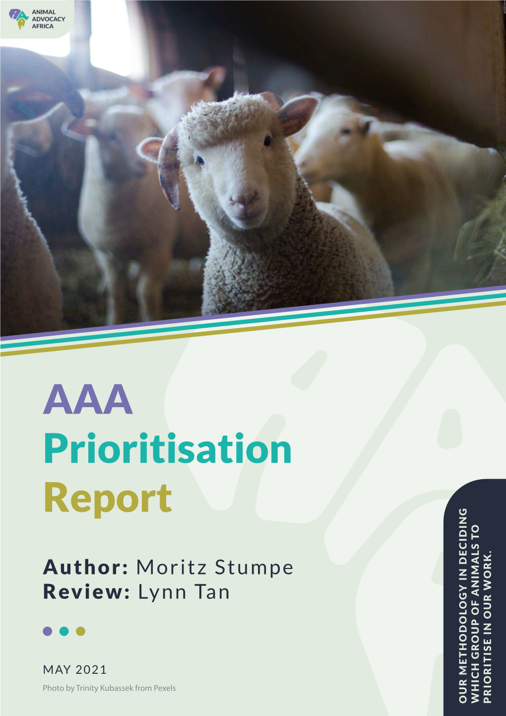 AAA Prioritisation Report ••• Primary Author: Moritz Stumpe Review: Lynn Tan
