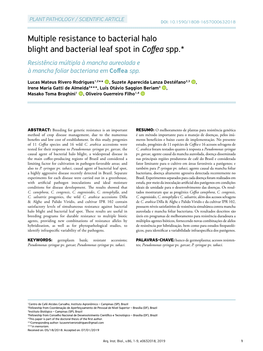 Multiple Resistance to Bacterial Halo Blight and Bacterial Leaf Spot In