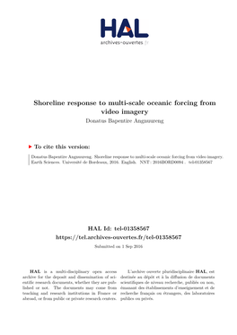 Shoreline Response to Multi-Scale Oceanic Forcing from Video Imagery Donatus Bapentire Angnuureng