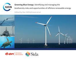 Greening Blue Energy