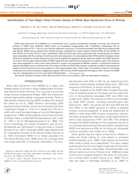 Identification of Two Major Virion Protein Genes of White Spot Syndrome Virus of Shrimp