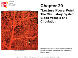 Chapter 20 *Lecture Powerpoint the Circulatory System: Blood Vessels and Circulation