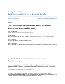 Two Additional Invasive Scarabaeoid Beetles (Coleoptera: Scarabaeidae: Dynastinae) in Hawaii