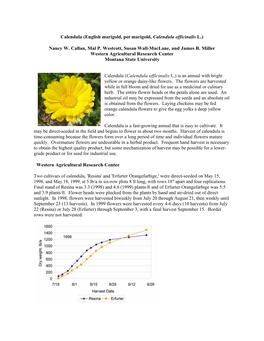 Calendula (English Marigold, Pot Marigold, Calendula Officinalis L.)