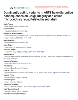 Dominantly Acting Variants in ARF3 Have Disruptive Consequences on Golgi Integrity and Cause Microcephaly Recapitulated in Zebra�Sh