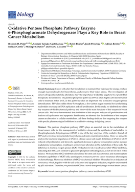 Oxidative Pentose Phosphate Pathway Enzyme 6-Phosphogluconate Dehydrogenase Plays a Key Role in Breast Cancer Metabolism