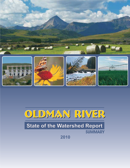 State of the Watershed Report SUMMARY 2010 MESSAGE from the CO-CHAIRS