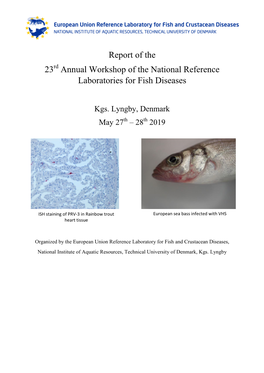 Report of the 23 Annual Workshop of the National Reference