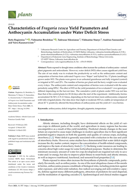 Characteristics of Fragaria Vesca Yield Parameters and Anthocyanin Accumulation Under Water Deﬁcit Stress