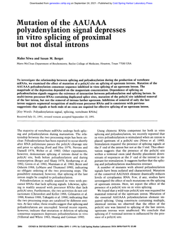 Mutation of the AAUAAA Polyadenylation Signal Depresses in Vitro Splicing of Proximal but Not Distal Introns