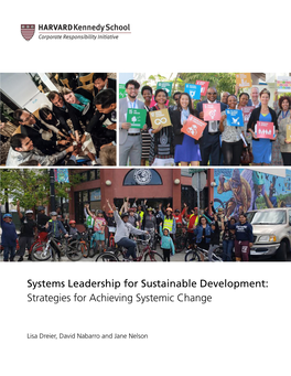 Systems Leadership for Sustainable Development: Strategies for Achieving Systemic Change