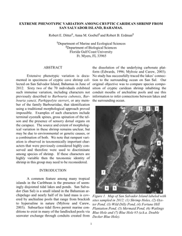 Extreme Phenotypic Variation Among Cryptic Caridean Shrimp from San Salvador Island, Bahamas