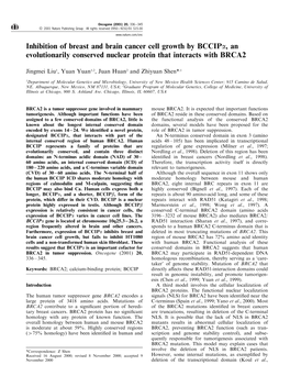 Inhibition of Breast and Brain Cancer Cell Growth by Bccipα, An