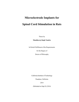 Microelectrode Implants for Spinal Cord Stimulation in Rats