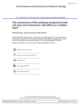 The Connections of Wnt Pathway Components with Cell Cycle and Centrosome: Side Effects Or a Hidden Logic?