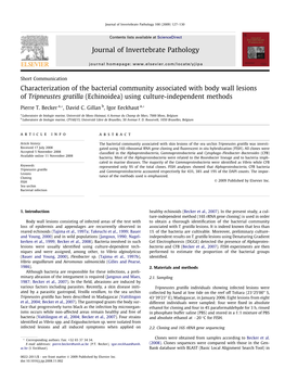 Echinoidea) Using Culture-Independent Methods