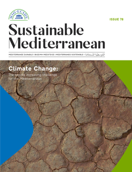 Sustainable Mediterranean, Issue No 78