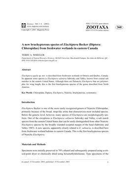 A New Brachypterous Species of Elachiptera Becker (Diptera: Chloropidae) from Freshwater Wetlands in Eastern Canada