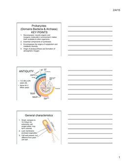 Prokaryotes (Domains Bacteria & Archaea)