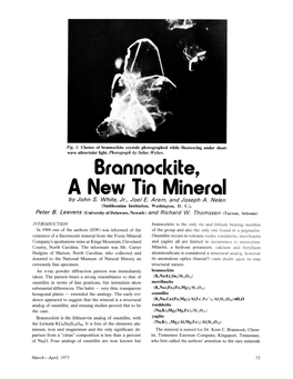 Brannockite, a New Tin Mineral by John S