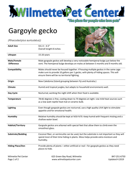 Gargoyle Gecko