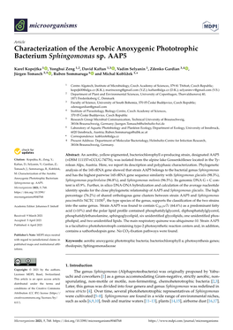 Characterization of the Aerobic Anoxygenic Phototrophic Bacterium Sphingomonas Sp