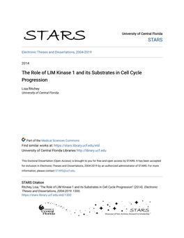 The Role of LIM Kinase 1 and Its Substrates in Cell Cycle Progression