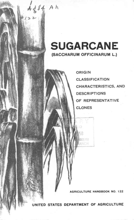Sugarcane (Saccharum Officinarum L.)