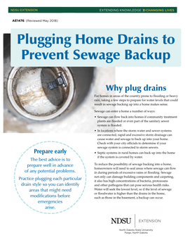 Plugging Home Drains to Prevent Sewage Backup AE1476