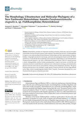 The Morphology, Ultrastructure and Molecular Phylogeny of a New Freshwater Heterolobose Amoeba Parafumarolamoeba Stagnalis N. Sp