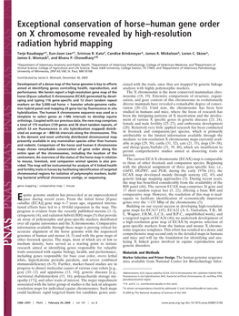 Exceptional Conservation of Horse–Human Gene Order on X Chromosome Revealed by High-Resolution Radiation Hybrid Mapping