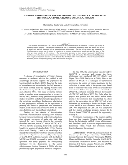 Large Ichthyosaurian Remains from the La Casita Type Locality (Tithonian, Upper Jurassic), Coahuila, Mexico
