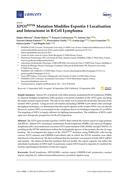 XPO1E571K Mutation Modifies Exportin 1 Localisation And