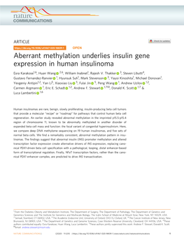 Aberrant Methylation Underlies Insulin Gene Expression in Human Insulinoma