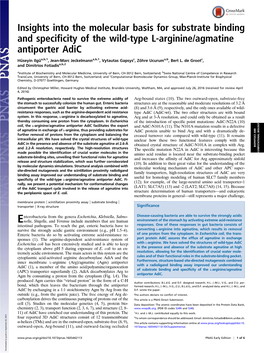 Insights Into the Molecular Basis for Substrate Binding and Specificity of the Wild-Type L-Arginine/Agmatine Antiporter Adic